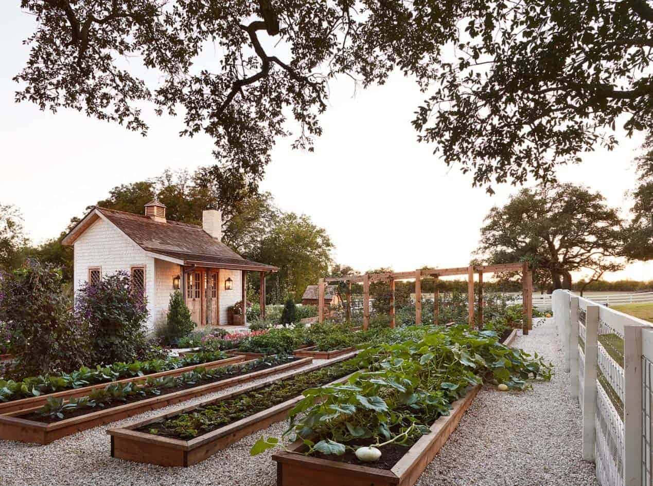 白色小屋在日落時分於大樹下設有菜園