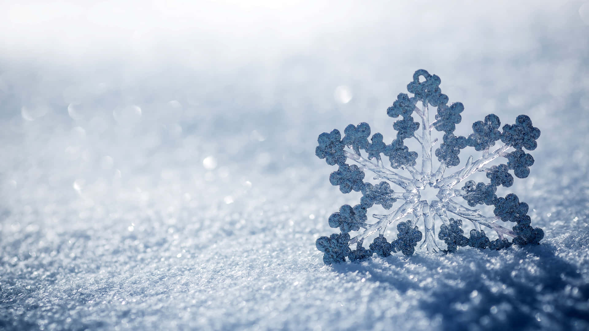 明亮的冬日陽光下，雪地上的一片精細雪花。