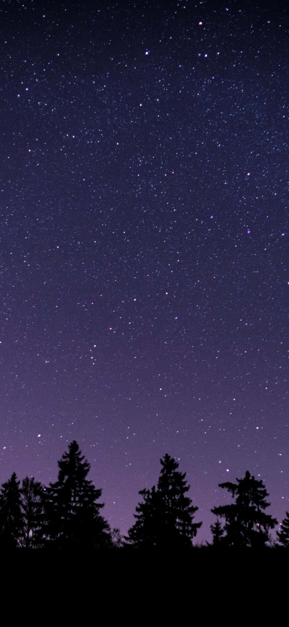 大自然的饋贈——風化海岸與金色沙丘 壁紙 — 星空之夜，深色松樹剪影上方帶有紫色漸變。
