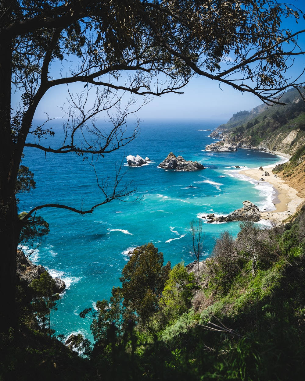 大蘇爾海景透過樹林 壁紙 — 一個充滿活力的藍綠色海灣，被深色樹枝框住，有岩石海岸和沙灘，在清澈的藍天下。