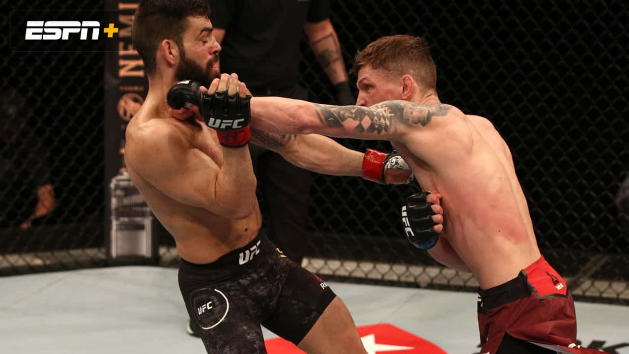兩名男性拳手在UFC比賽中於八角籠內互相出拳。