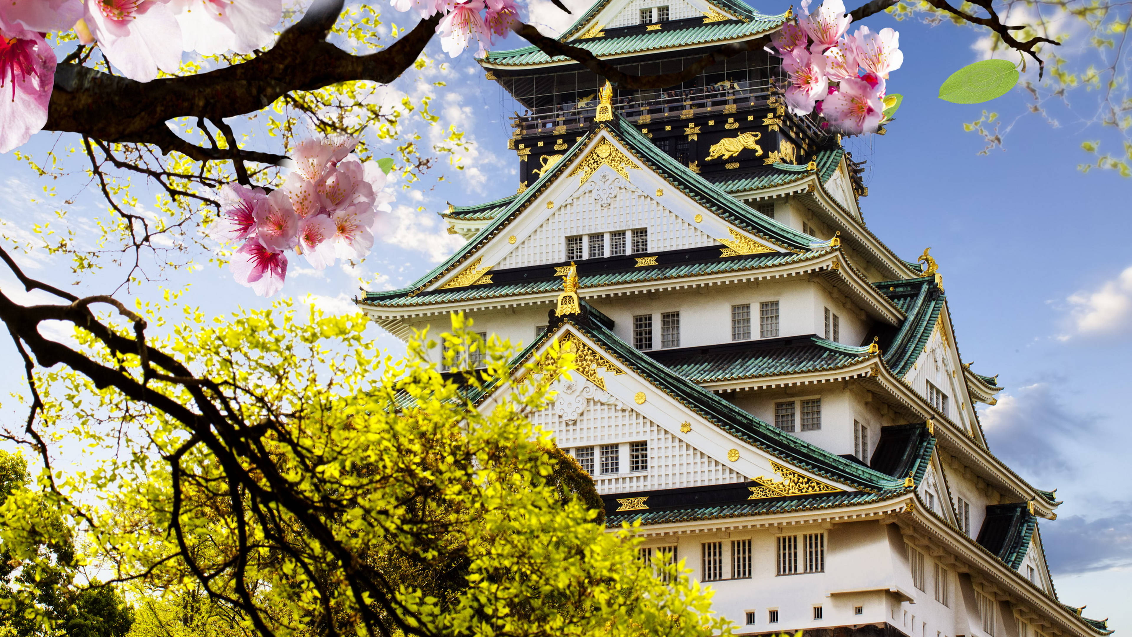 大阪城 壁紙 — 一座雄偉的日本城堡，擁有綠色屋頂和金色點綴，被盛開的粉紅色櫻花和鮮綠色的樹葉環繞，在清澈的藍天下。