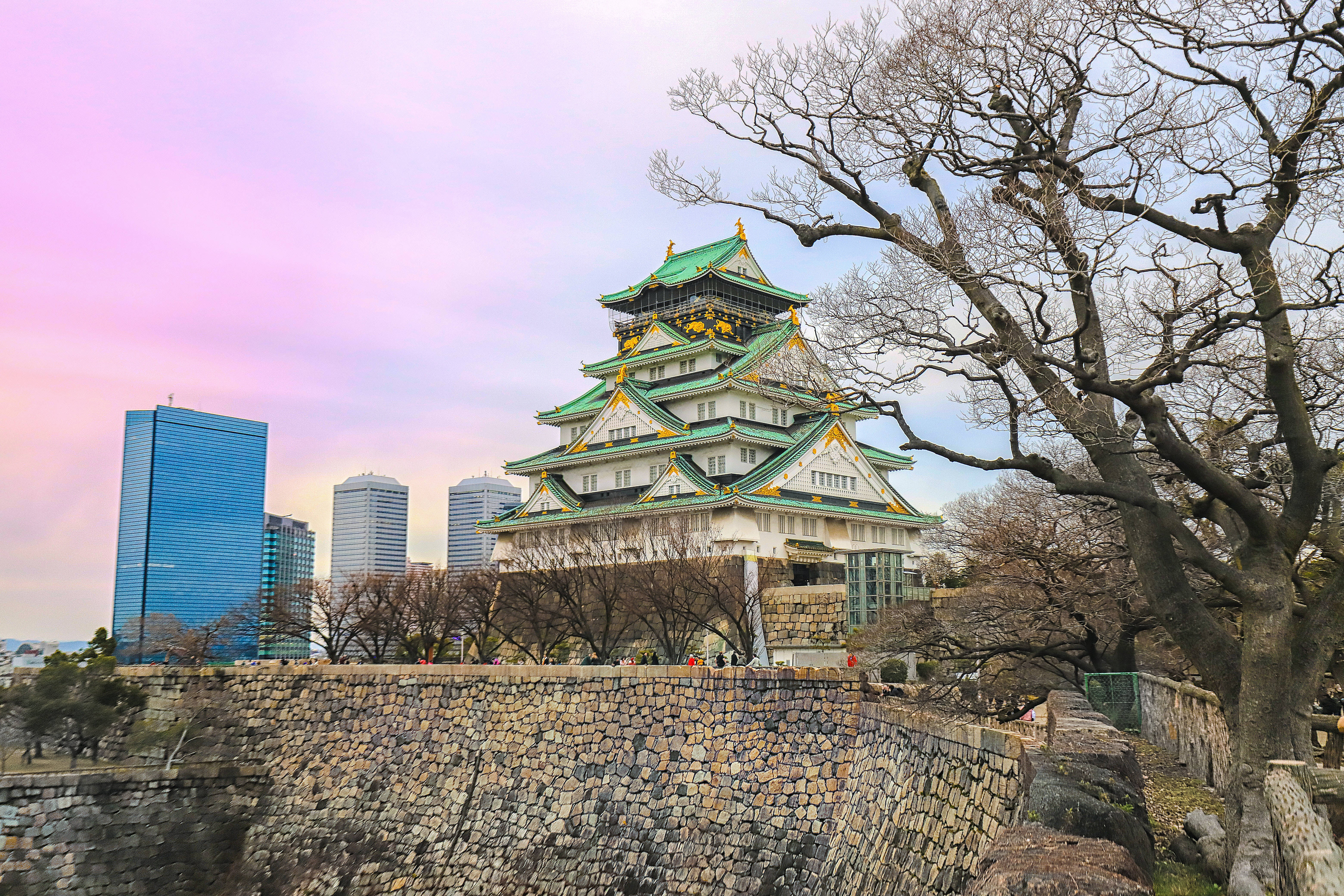 大阪城城市景觀 壁紙 — 一座歷史悠久的日本城堡，綠色屋頂在粉紅色天空下聳立，旁邊是現代摩天大樓和光禿禿的樹木。