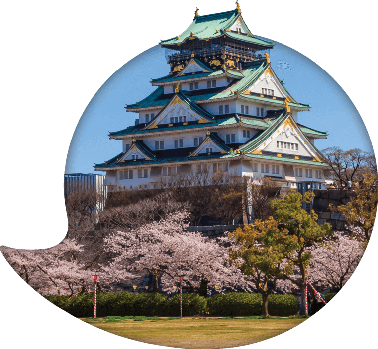 大阪城櫻花盛開 壁紙 — 一座雄偉的日本城堡，擁有綠色屋頂和金色裝飾，在晴朗的藍天下矗立在盛開的粉紅色櫻花樹後面。
