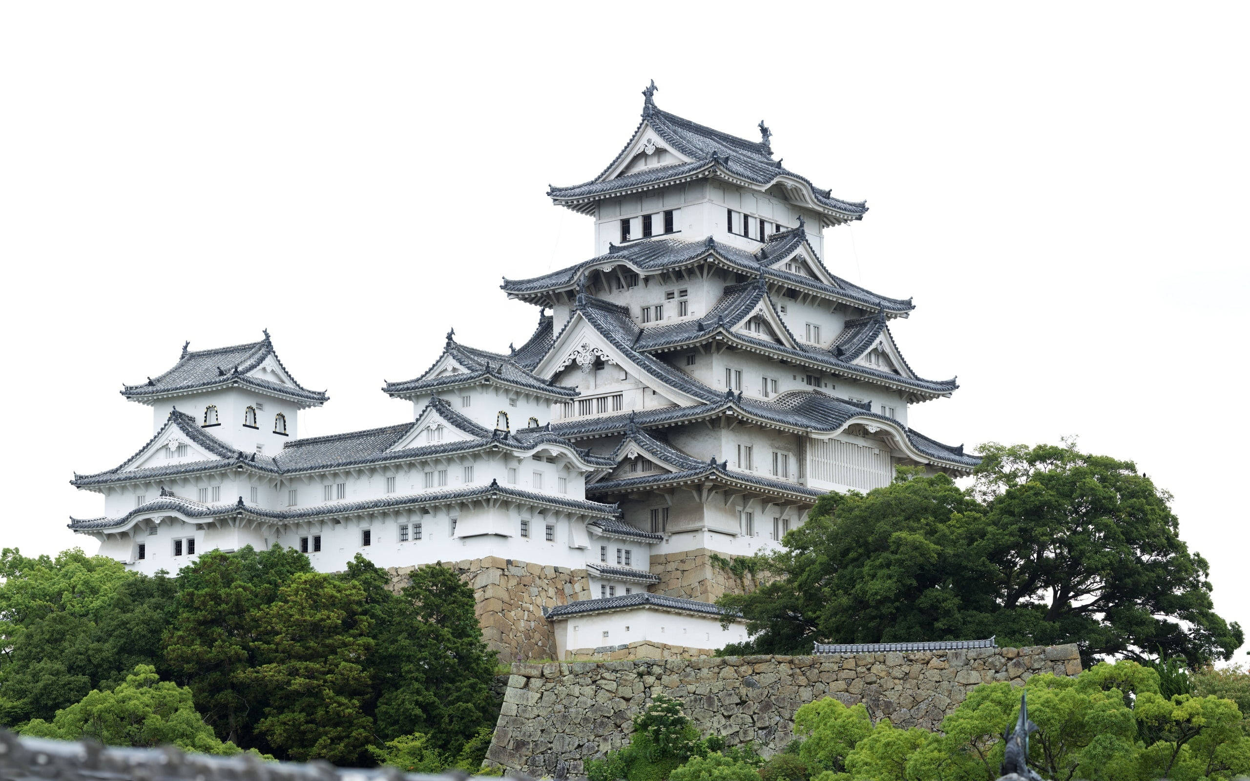 大阪城白色外牆 壁紙 — 一座雄偉的白色日本城堡，帶有深色瓦片屋頂，在陰天中聳立於茂密的綠樹之上。