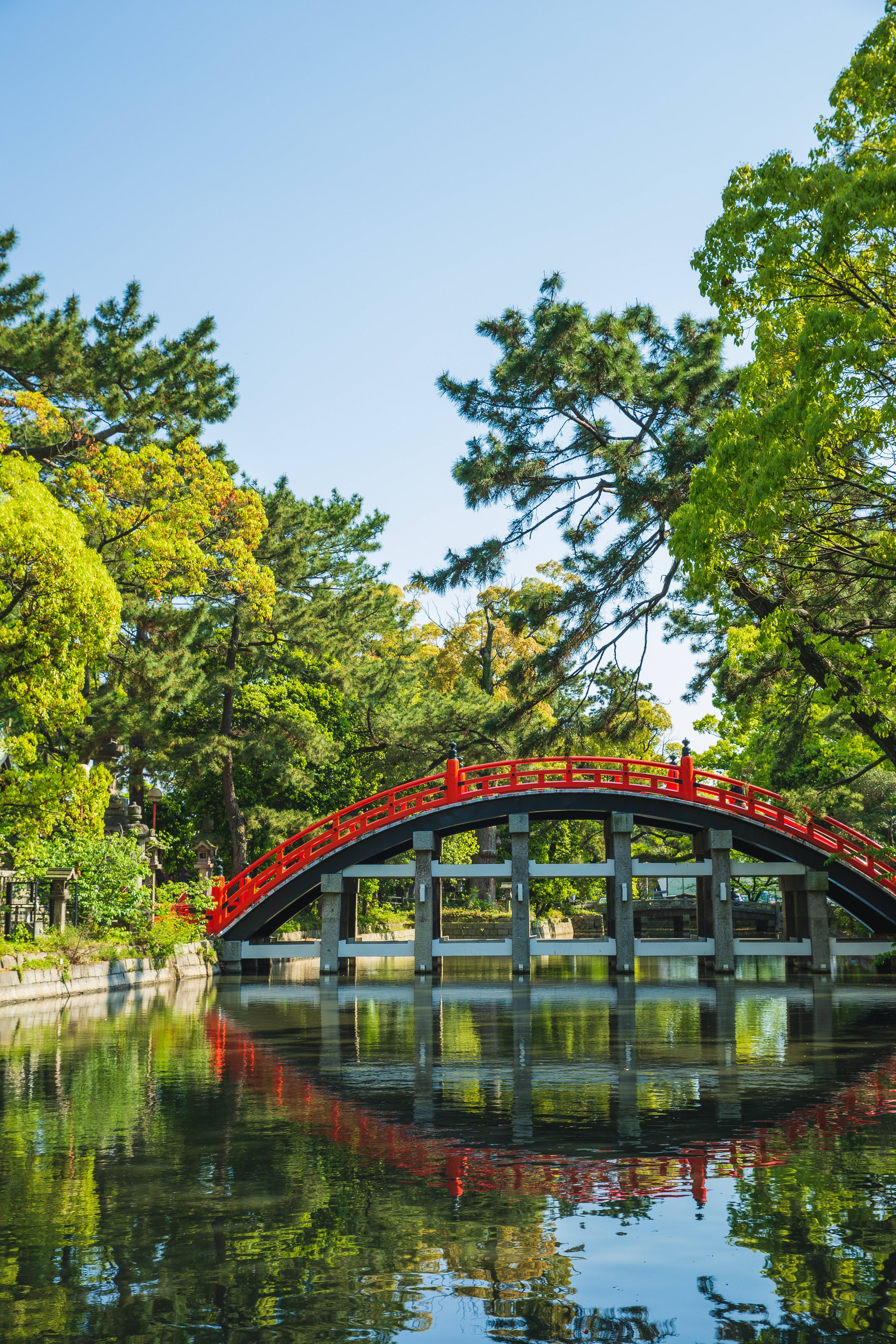 大阪太鼓橋 壁紙 — 一座鮮紅色的拱橋橫跨在平靜的池塘上，四周綠樹成蔭，上方是清澈的藍天。