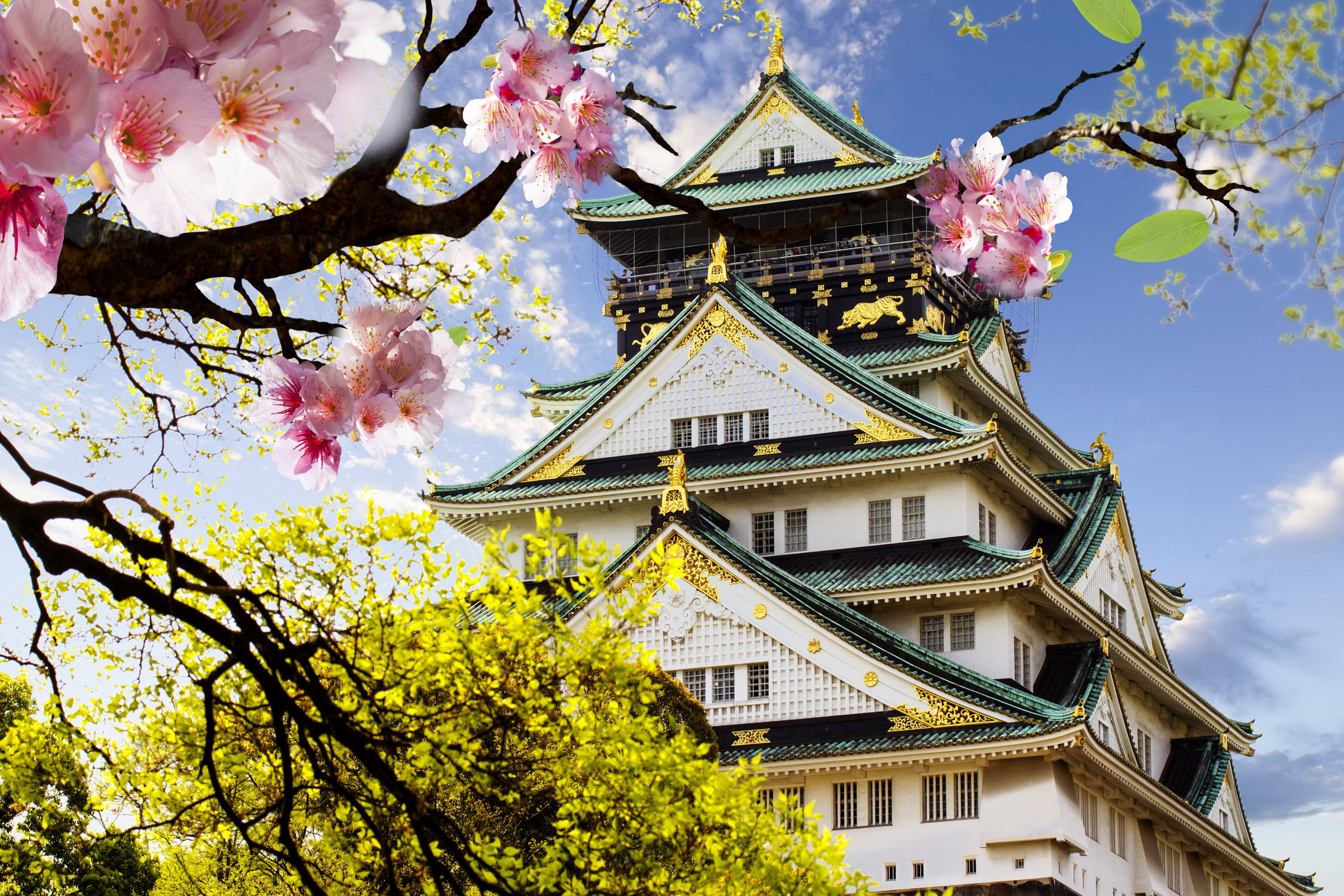 大阪日本城堡 壁紙 — 一座雄偉的日本城堡，擁有綠色屋頂和金色點綴，在晴朗的藍天下盛開的粉紅櫻花後方聳立。