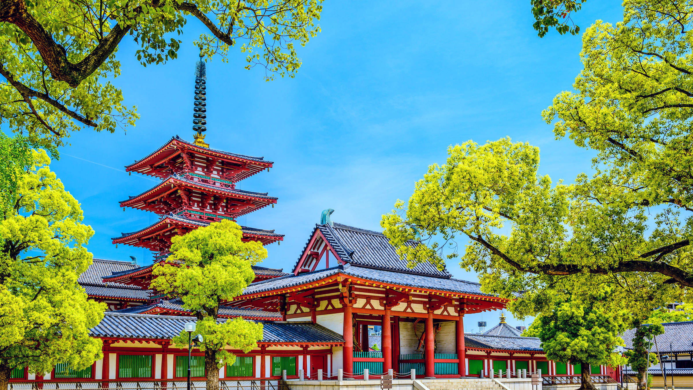 大阪西本願寺 壁紙 — 一座鮮紅色的寶塔和寺廟建築群，在晴朗的藍天下被茂密的綠樹環繞。