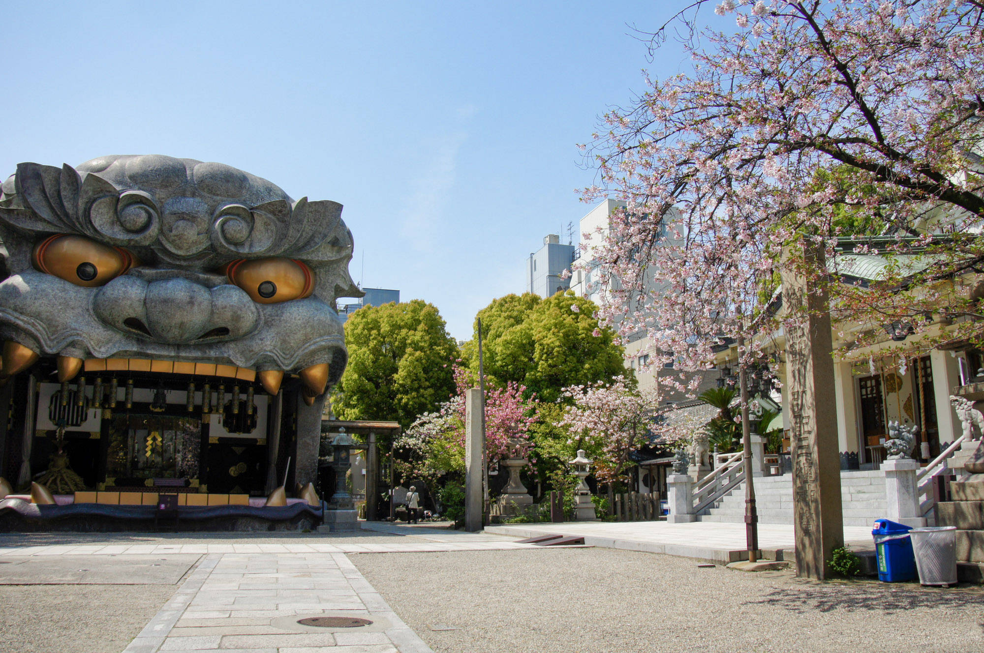大阪難波八坂神社獅頭舞台 壁紙 — 一尊巨大的石獅子狗雕像在晴朗的藍天下守護著傳統的日本神社，附近有盛開的櫻花樹。