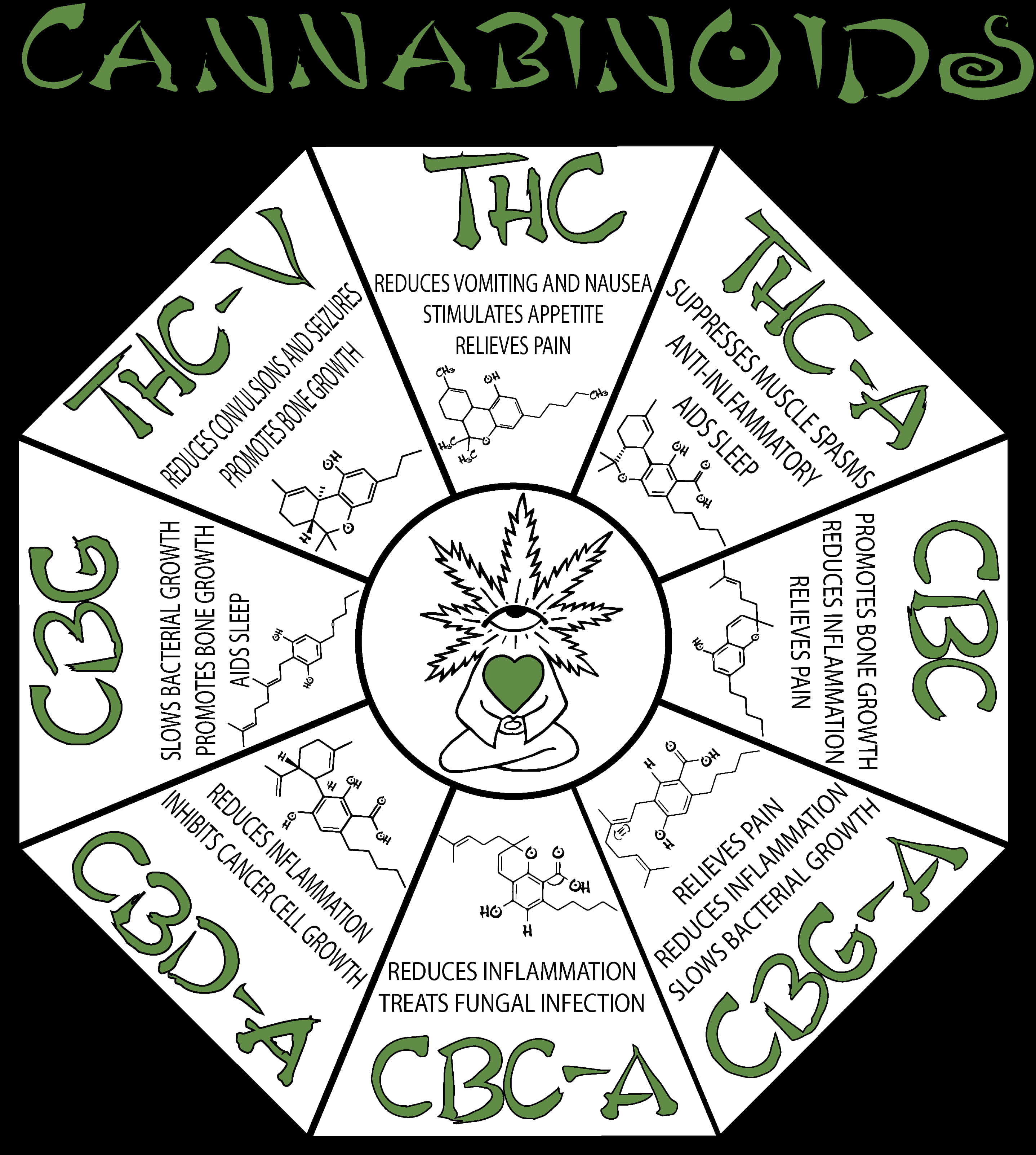大麻中的大麻素圖表資訊圖 壁紙