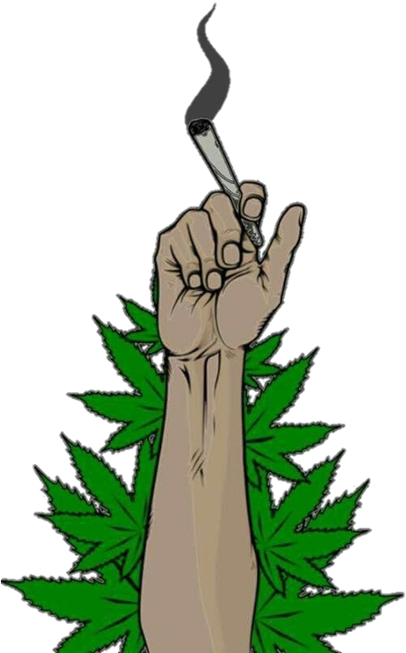 大麻文化拳頭夾著大麻煙 壁紙