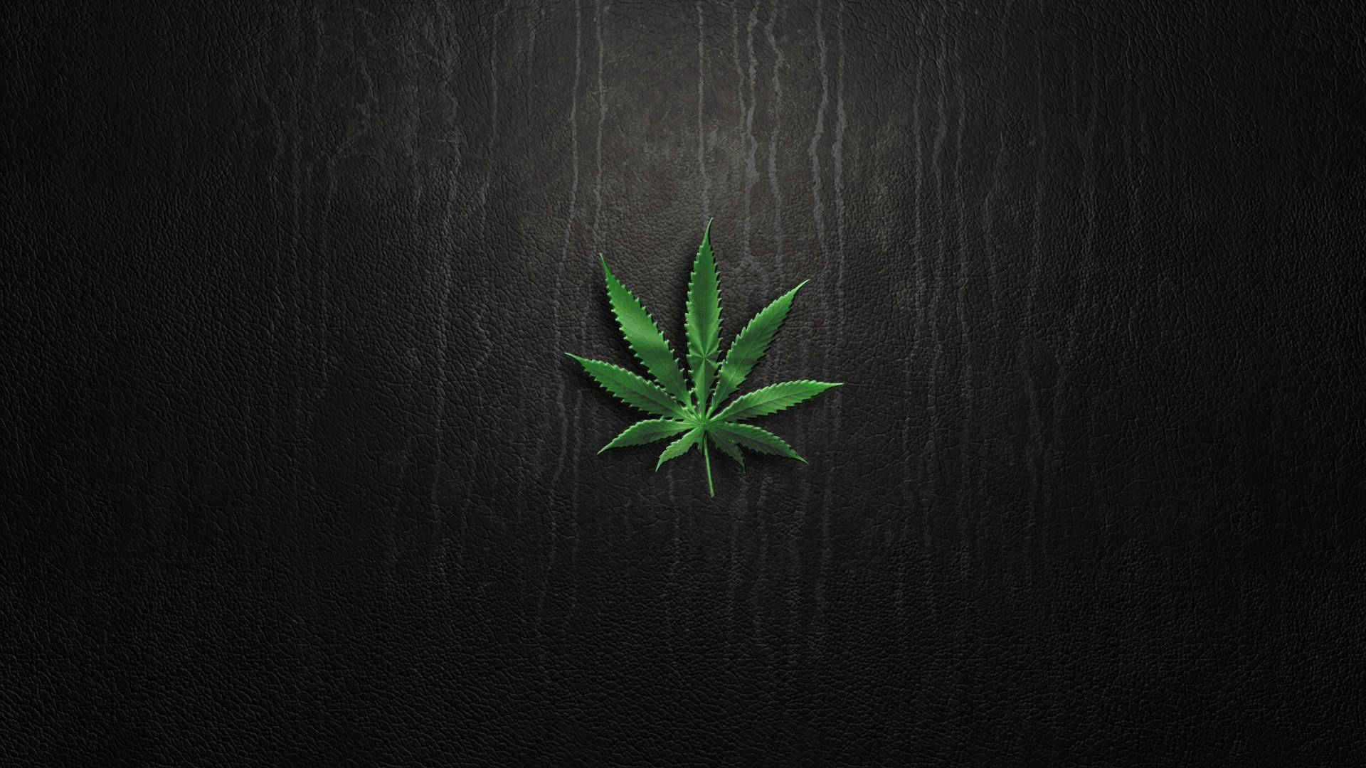 黑色皮革背景上的綠色大麻葉