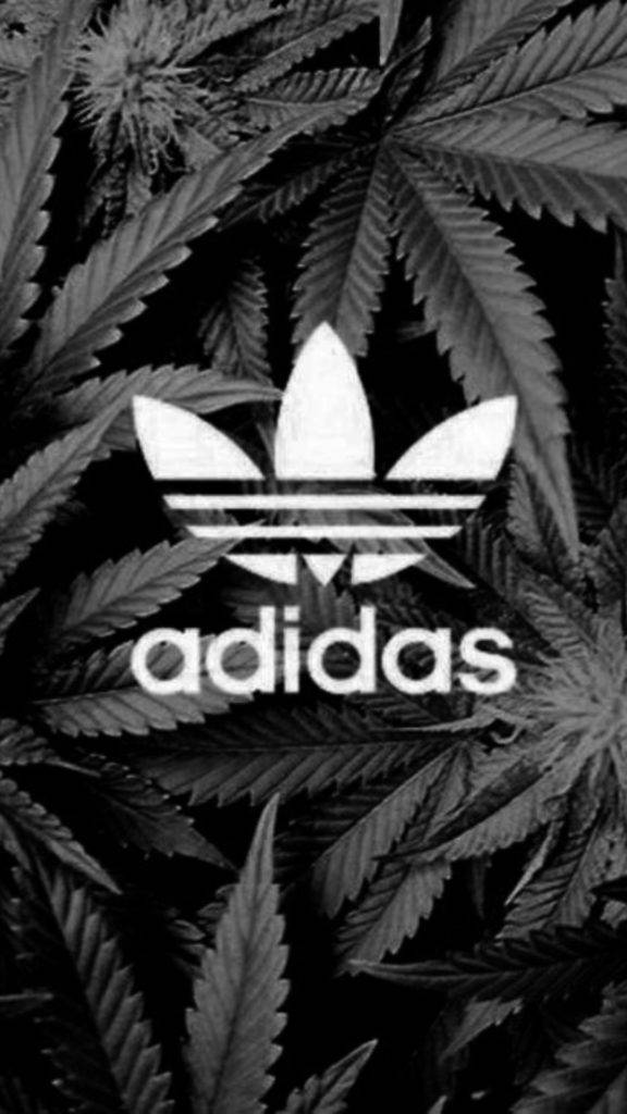 大麻植物與阿迪達斯標誌 iPhone 壁紙 — 一個黑白Adidas標誌居中於密集的大麻葉背景上。