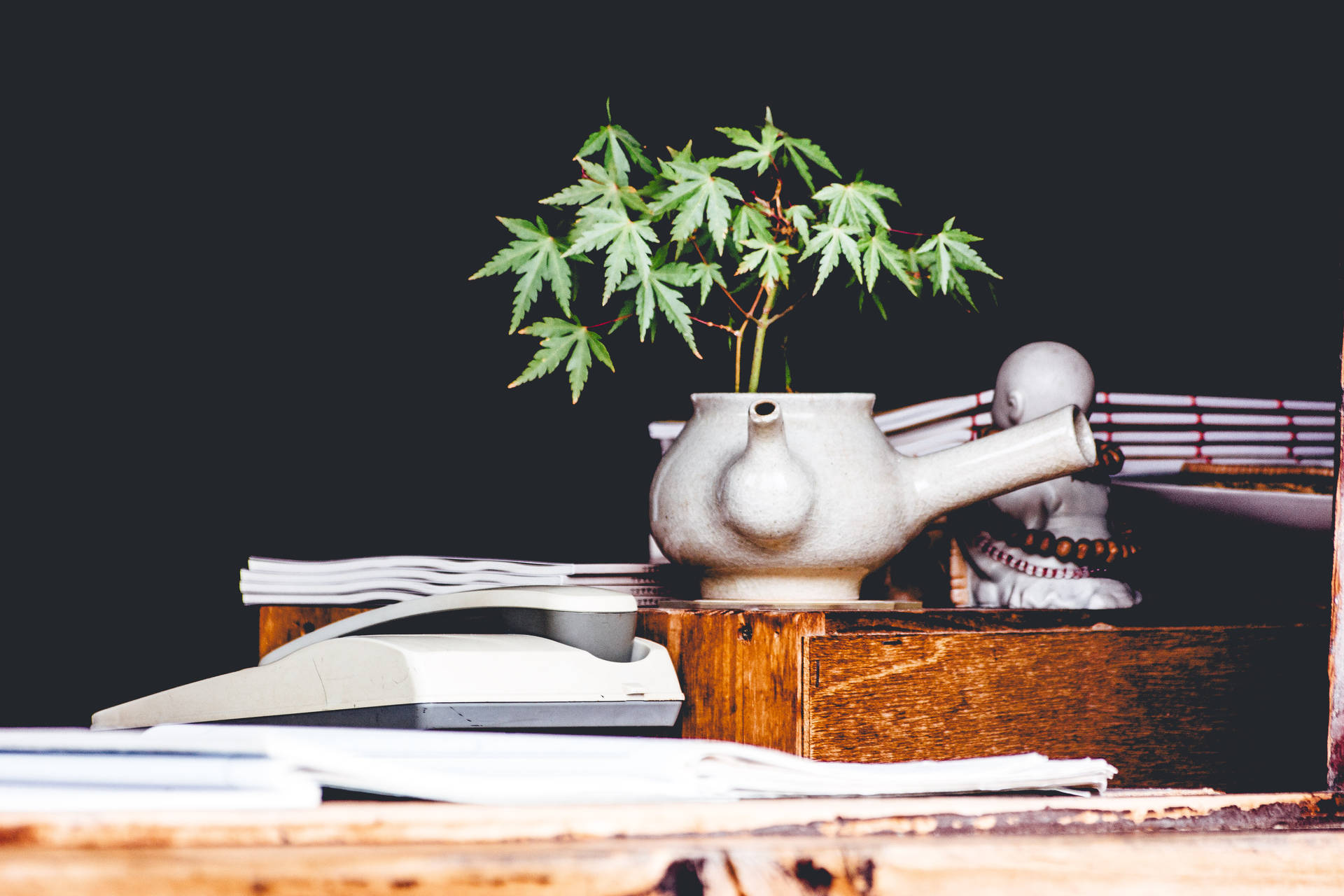 陶瓷茶壺中的小綠植物放在木桌上，伴有文件和復古計算機。