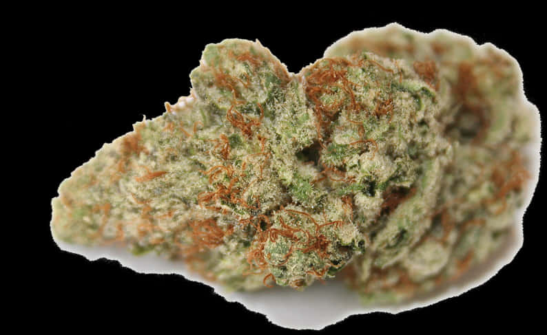 大麻花特寫