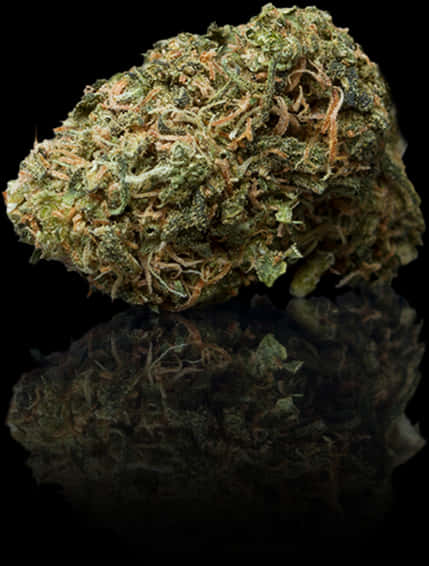 大麻花特寫