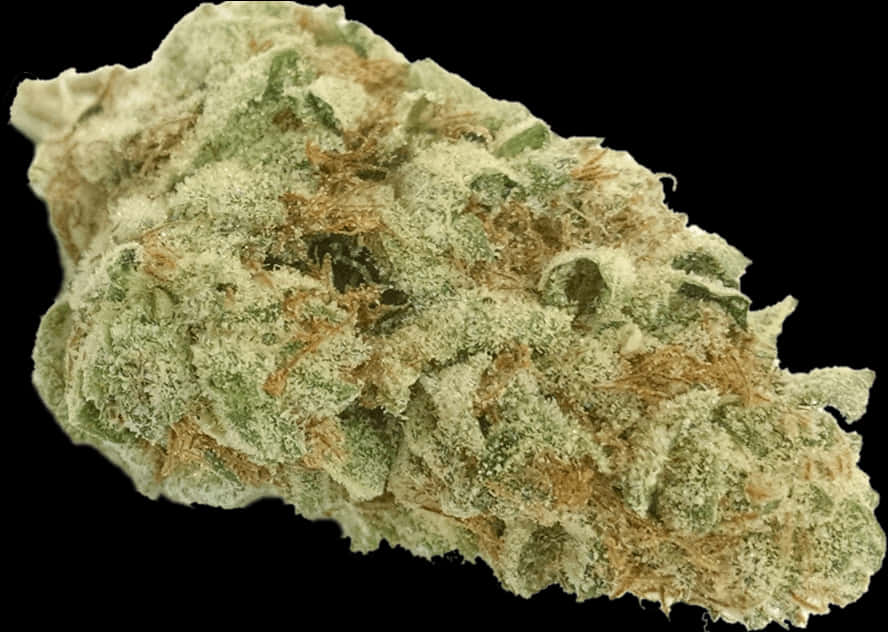 大麻花特寫品質