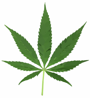 大麻葉圖形設計