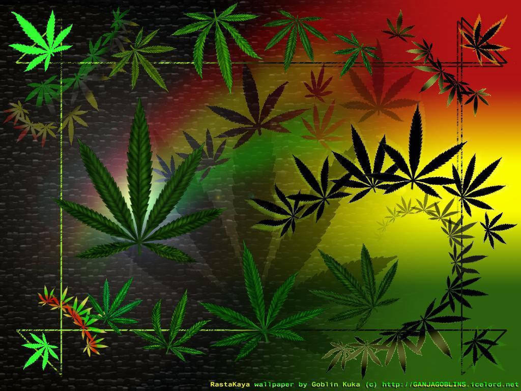 數碼藝術作品，以大麻葉組成拉斯特顏色裝飾邊框。