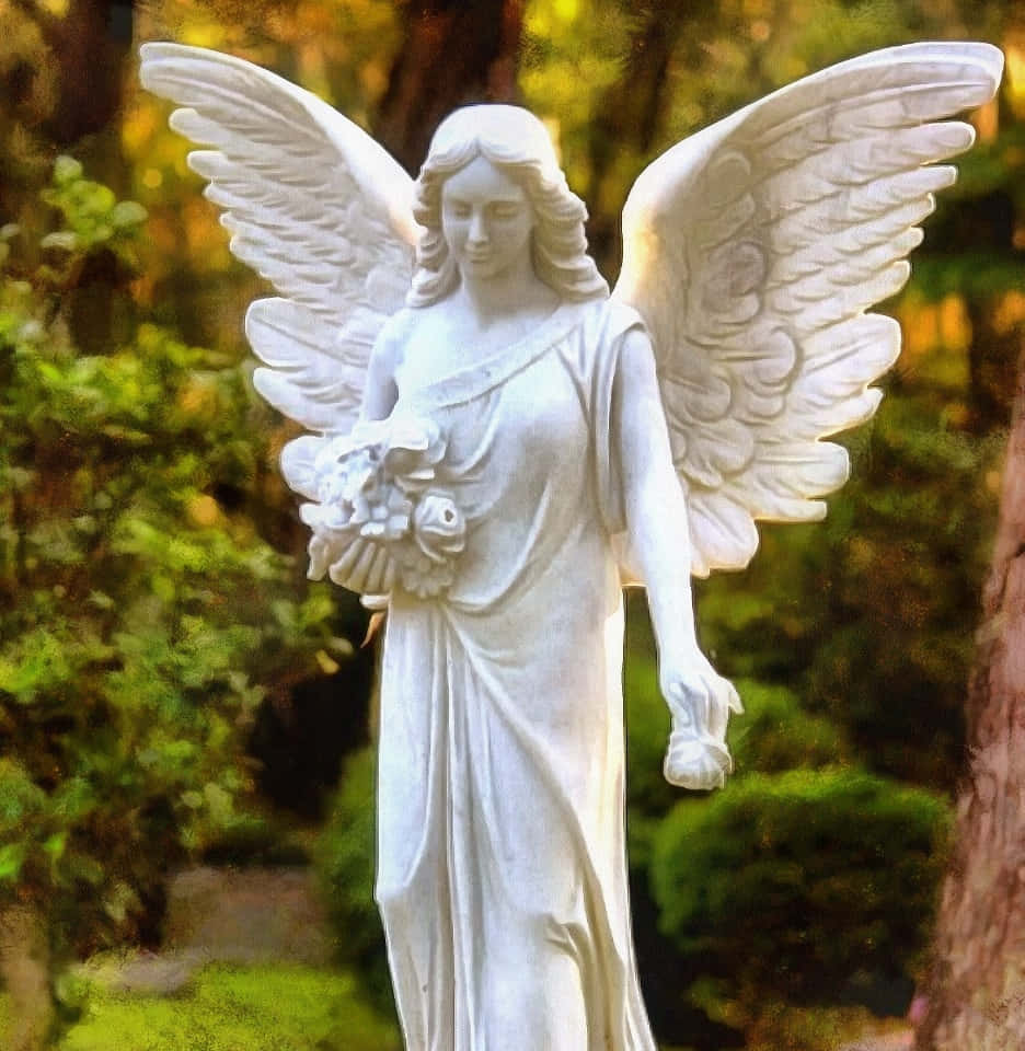 天使圖片 壁紙