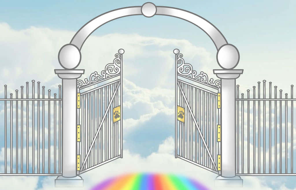 帶有爪印的銀色大門敞開，露出陰雲天空和下方的彩虹。