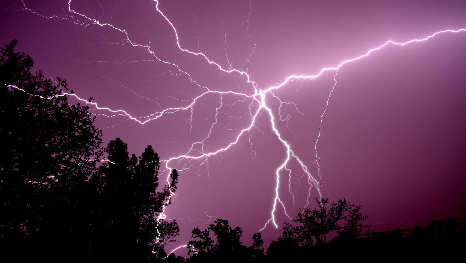 紫色暴風雨天空，明亮的閃電劃過黑暗的樹木剪影。