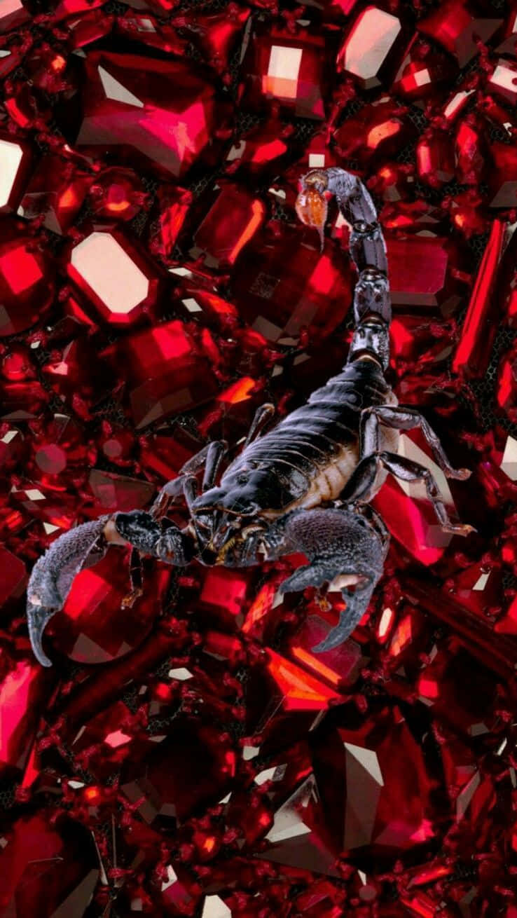 天蠍座 iPhone 紅色水晶壁紙 壁紙 — 一隻光滑的黑色蠍子從一堆破碎的深紅色寶石中出現，這些寶石散發著內在的光芒。