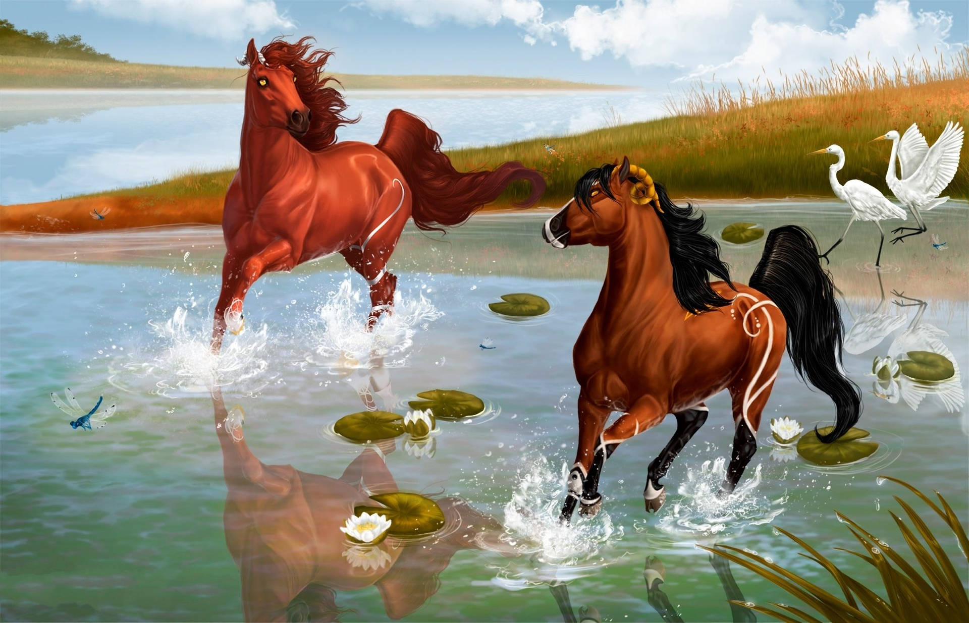 兩匹馬在自然環境中穿過水，有睡蓮葉和白鷺。