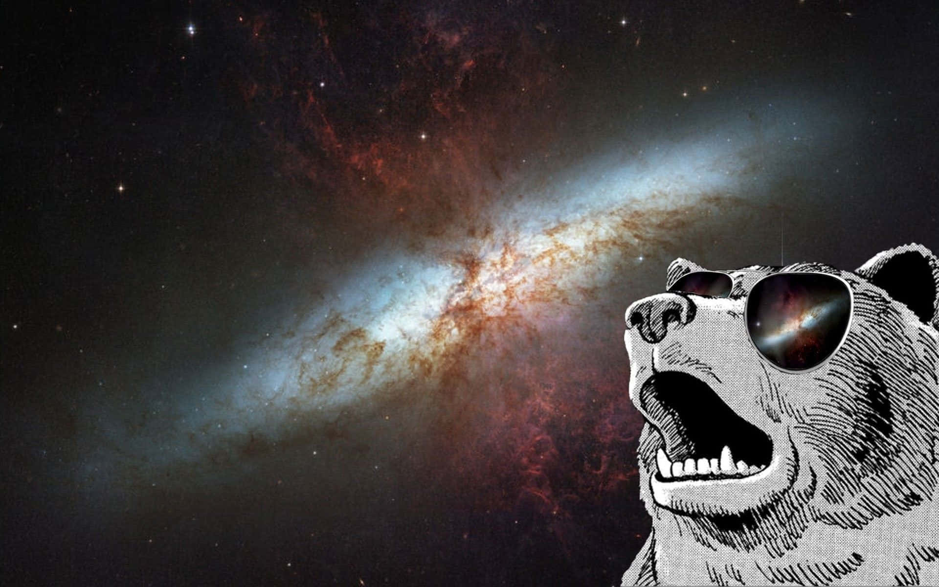 太空熊 dank meme 圖片 壁紙 — 一隻咆哮的熊戴著太陽眼鏡，在星光宇宙背景下反射出充滿活力的星系。