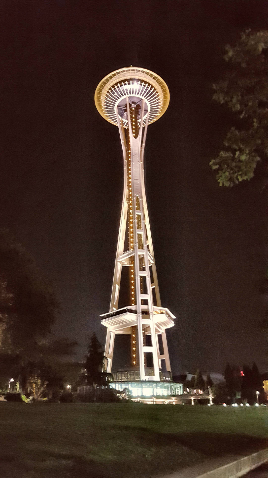 夜間點亮的太空針塔，前景有樹木。