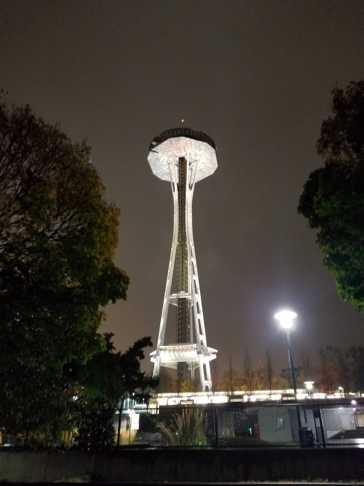 夜晚點亮的太空針塔，前景有樹木和街燈