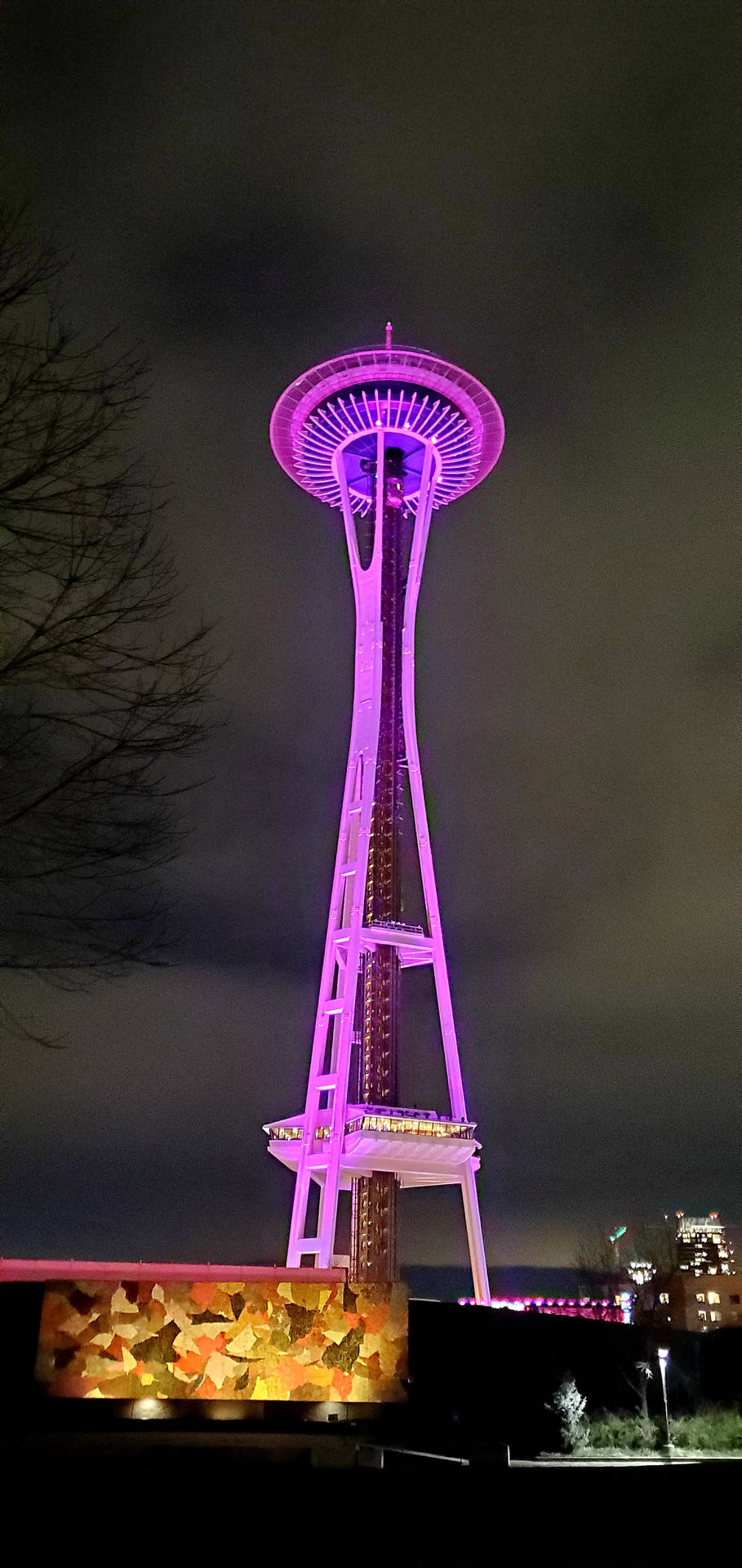 太空針塔在夜間亮起紫色燈光，背景有光禿的樹木和城市燈光