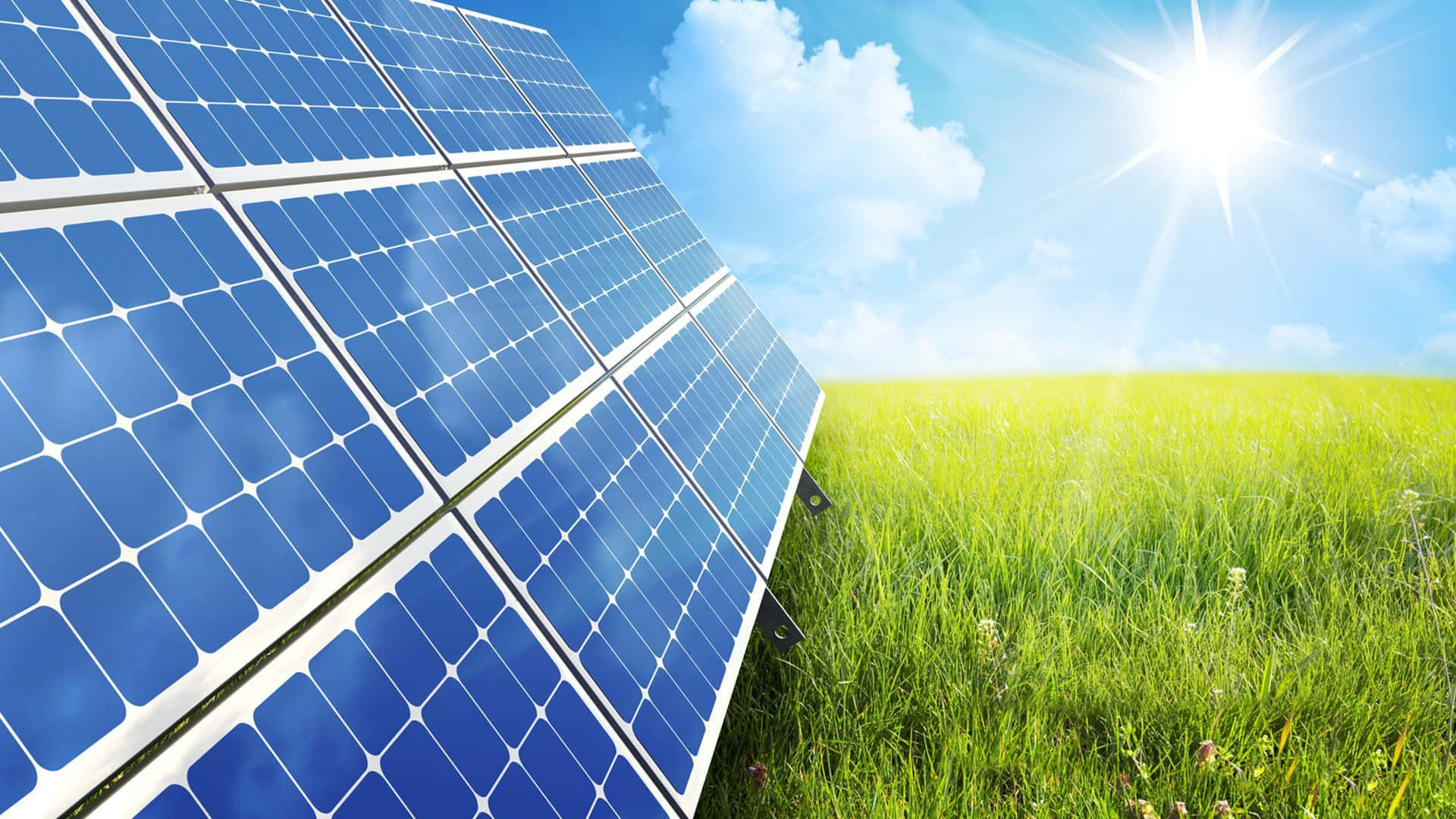 在晴朗藍天下，陽光普照的草地上有太陽能板。