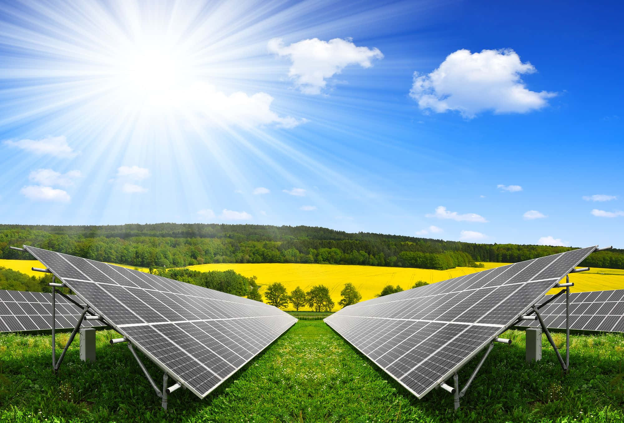 Energy 桌布 壁紙 — 太陽能板在燦爛的陽光下閃耀，下方是充滿活力的綠色田野和金色農作物，柔軟的雲朵飄過。