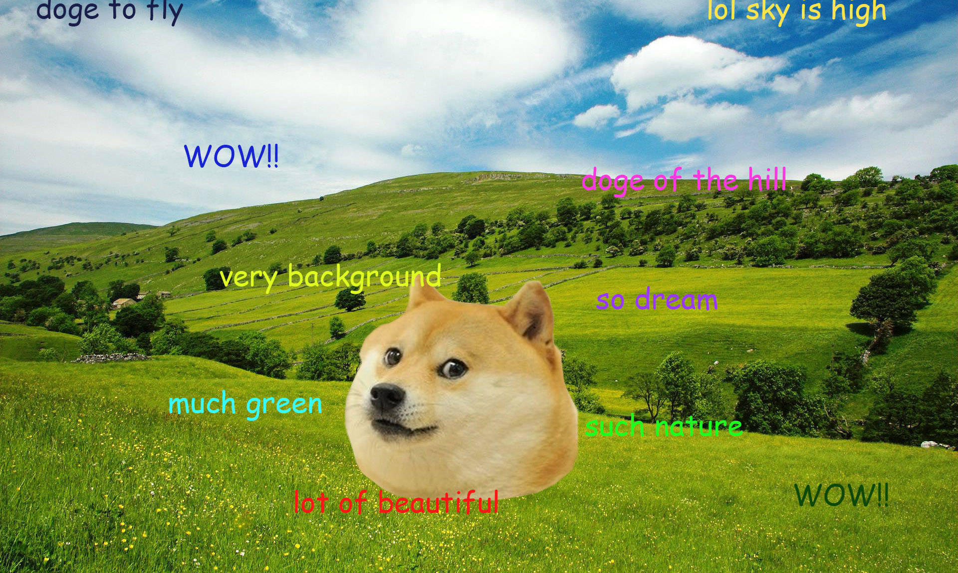 柴犬的臉在綠色丘陵景觀上，帶有雲朵。