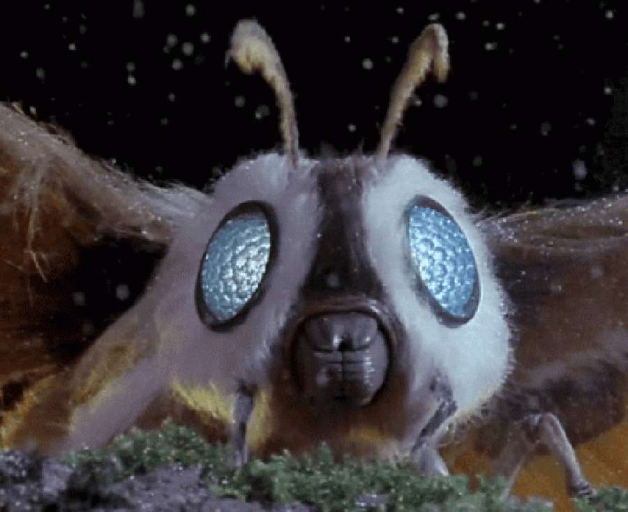 奇幻怪物從黑暗中浮現的超現實藝術動畫 壁紙