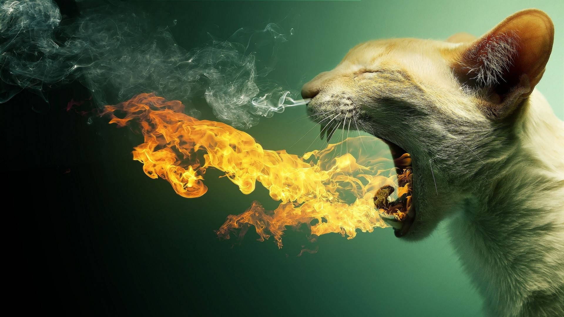 奇幻領域中的火焰貓 壁紙 — 一隻奶油色的貓閉著眼睛，在深藍綠色背景上呼出鮮豔的橙色火焰和煙霧。