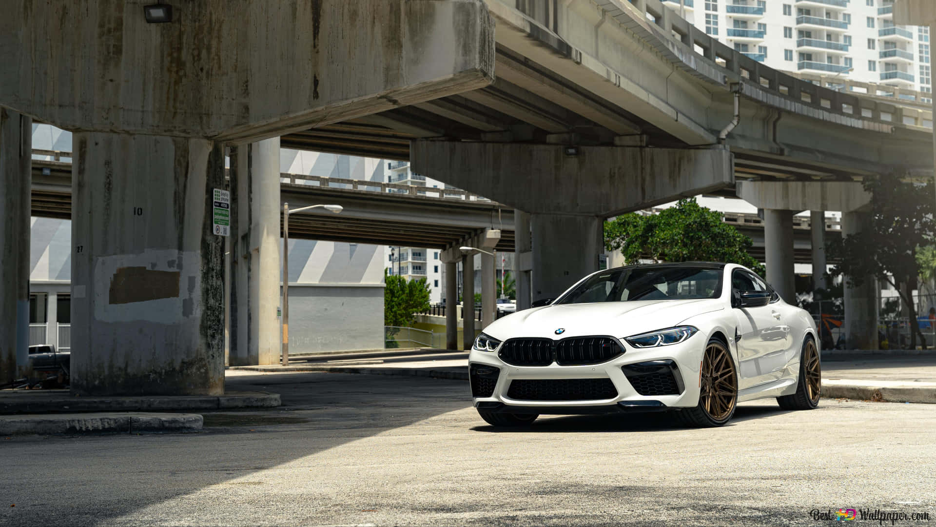 白色BMW M8 Coupe配金色輪圈，停泊在城市天橋下。