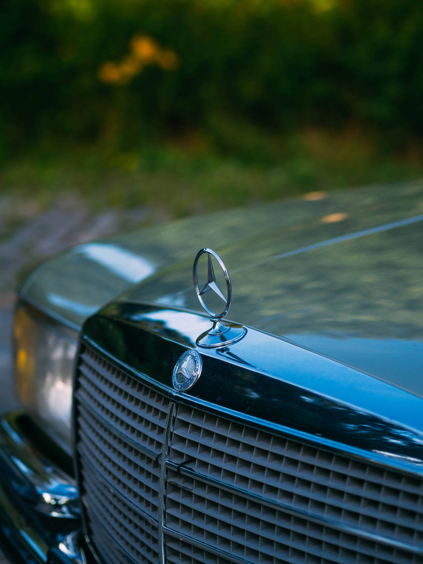 經典Mercedes-Benz引擎蓋標誌的特寫，帶有鍍鉻格柵和綠色樹葉背景。