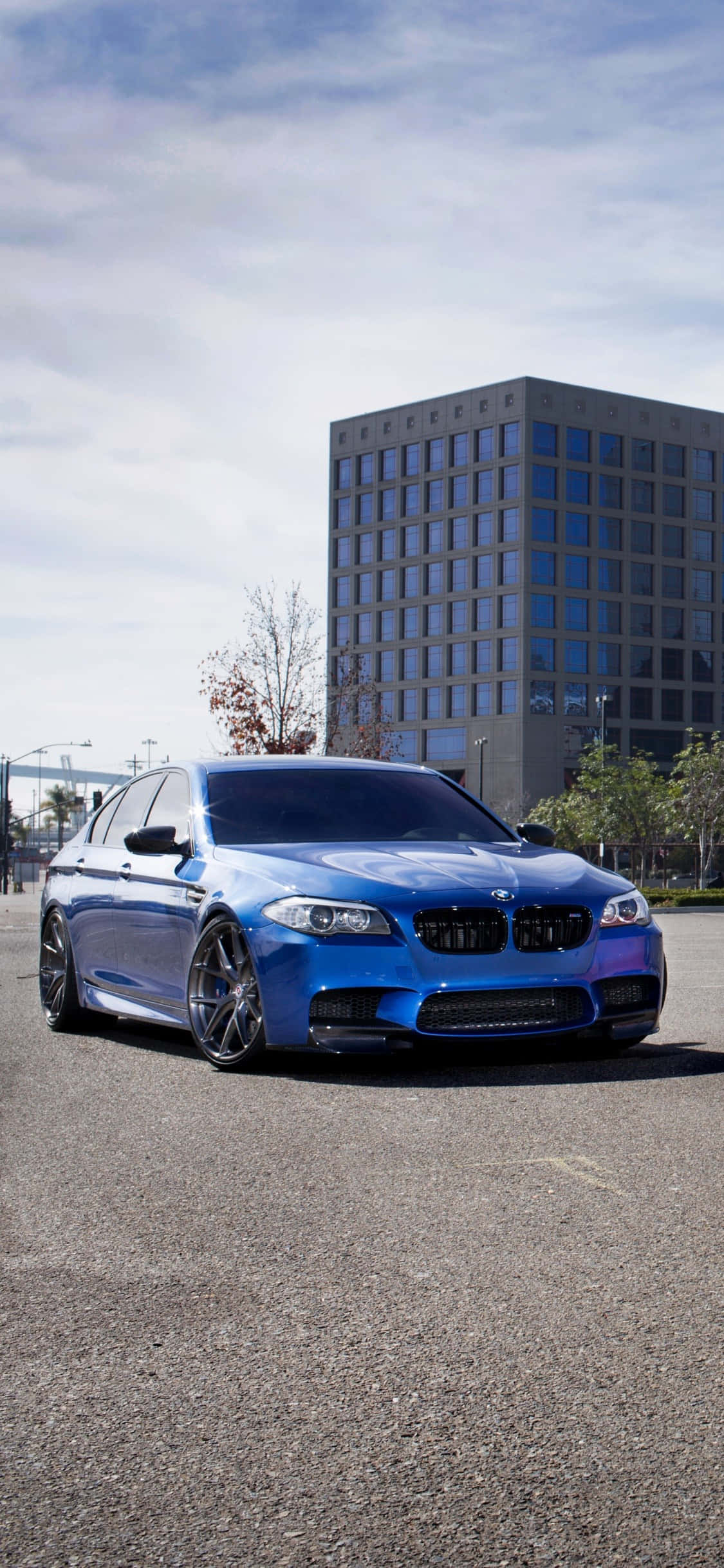 奢華生活——享受成功與品味 壁紙 — 一輛充滿活力的藍色BMW M5跑車停在瀝青路上，旁邊有現代玻璃建築和稀疏的樹木，天空部分多雲。