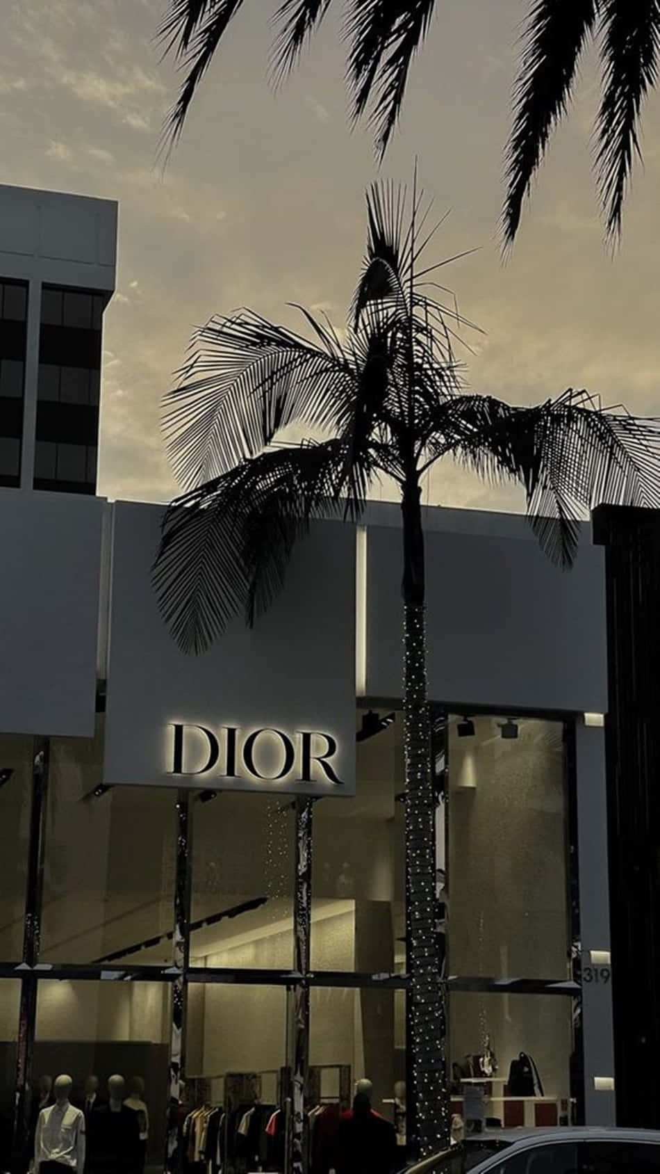 黃昏時分的Dior商店，棕櫚樹剪影和發光的招牌。