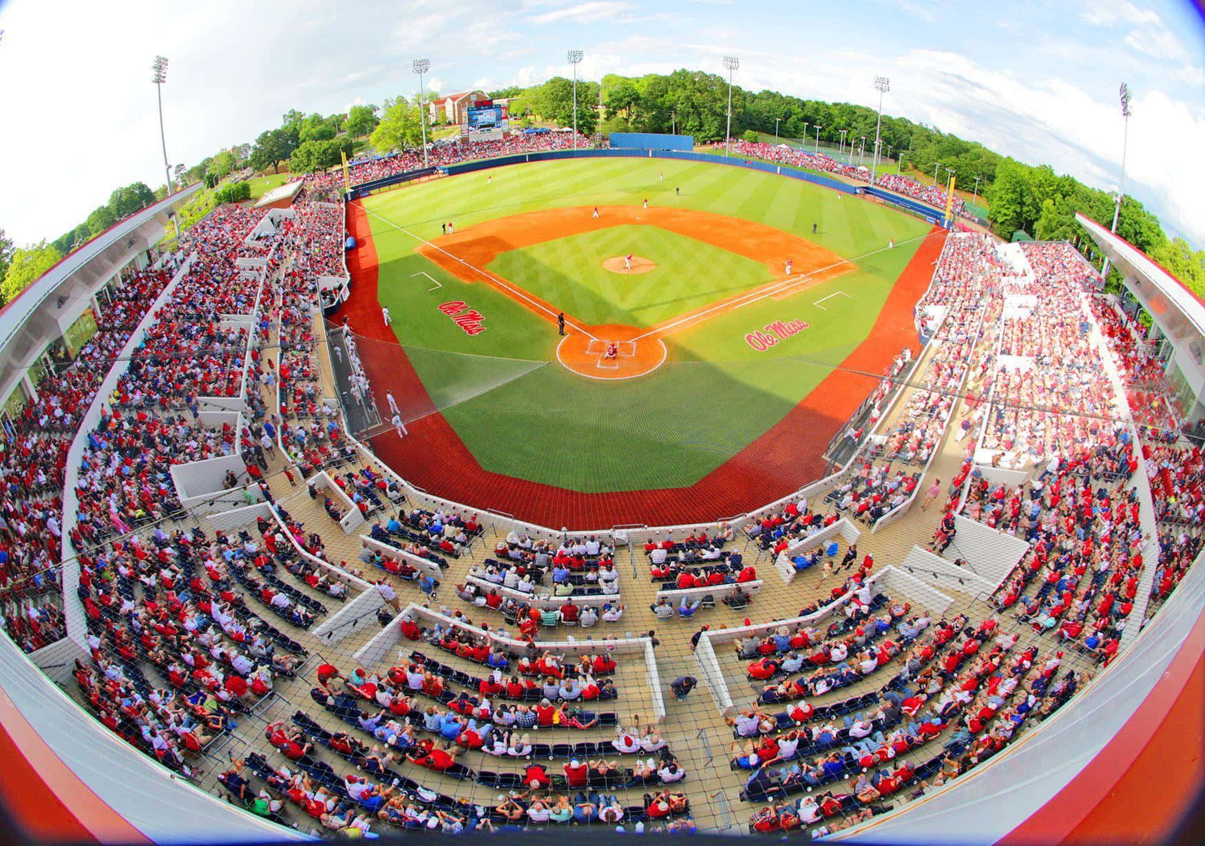 Ole Miss