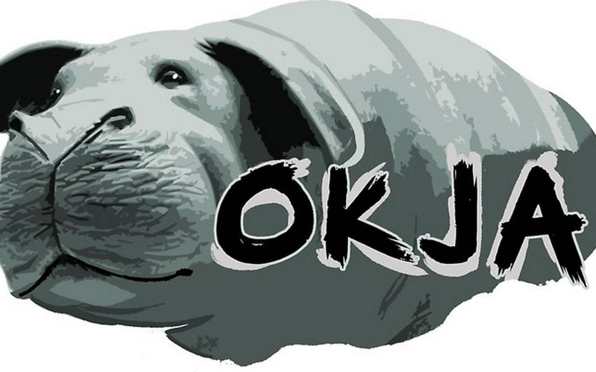 一隻灰色的插圖狗，身上帶有粗體筆觸字樣「OKJA」。