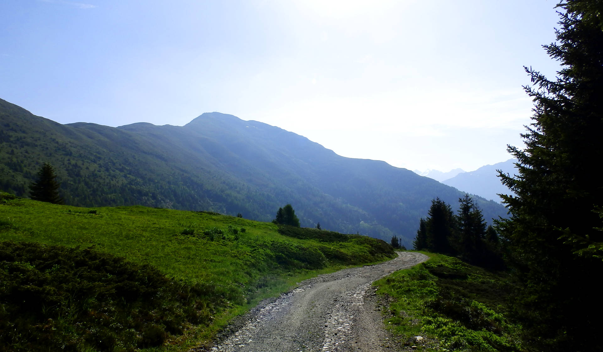 蜿蜒的碎石路穿過綠色草地和松樹林，在晴朗的日子裡通向遠山。