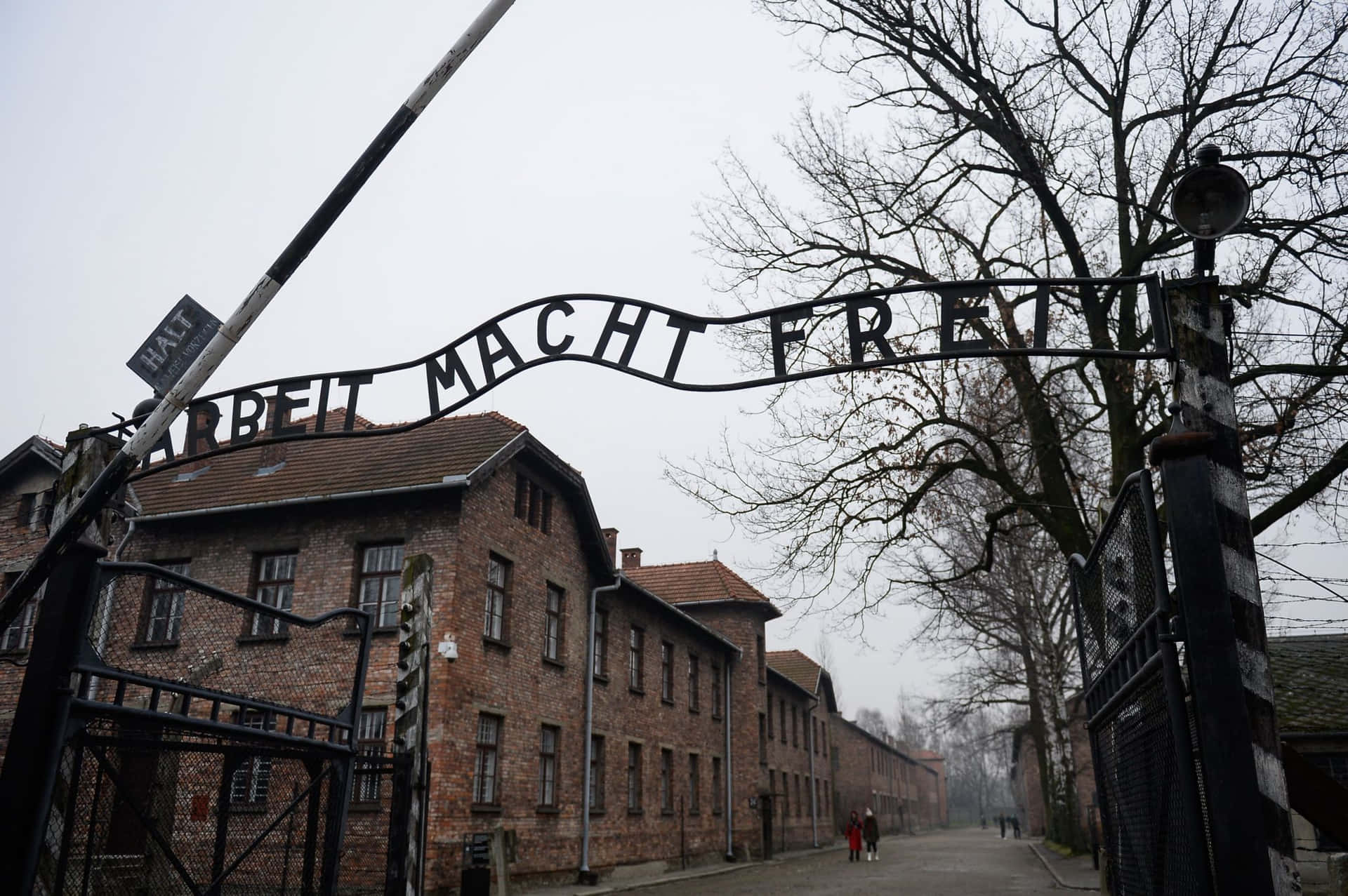 奧斯威辛集中營入口，帶有「Arbeit Macht Frei」標誌和磚砌建築，天空灰色。