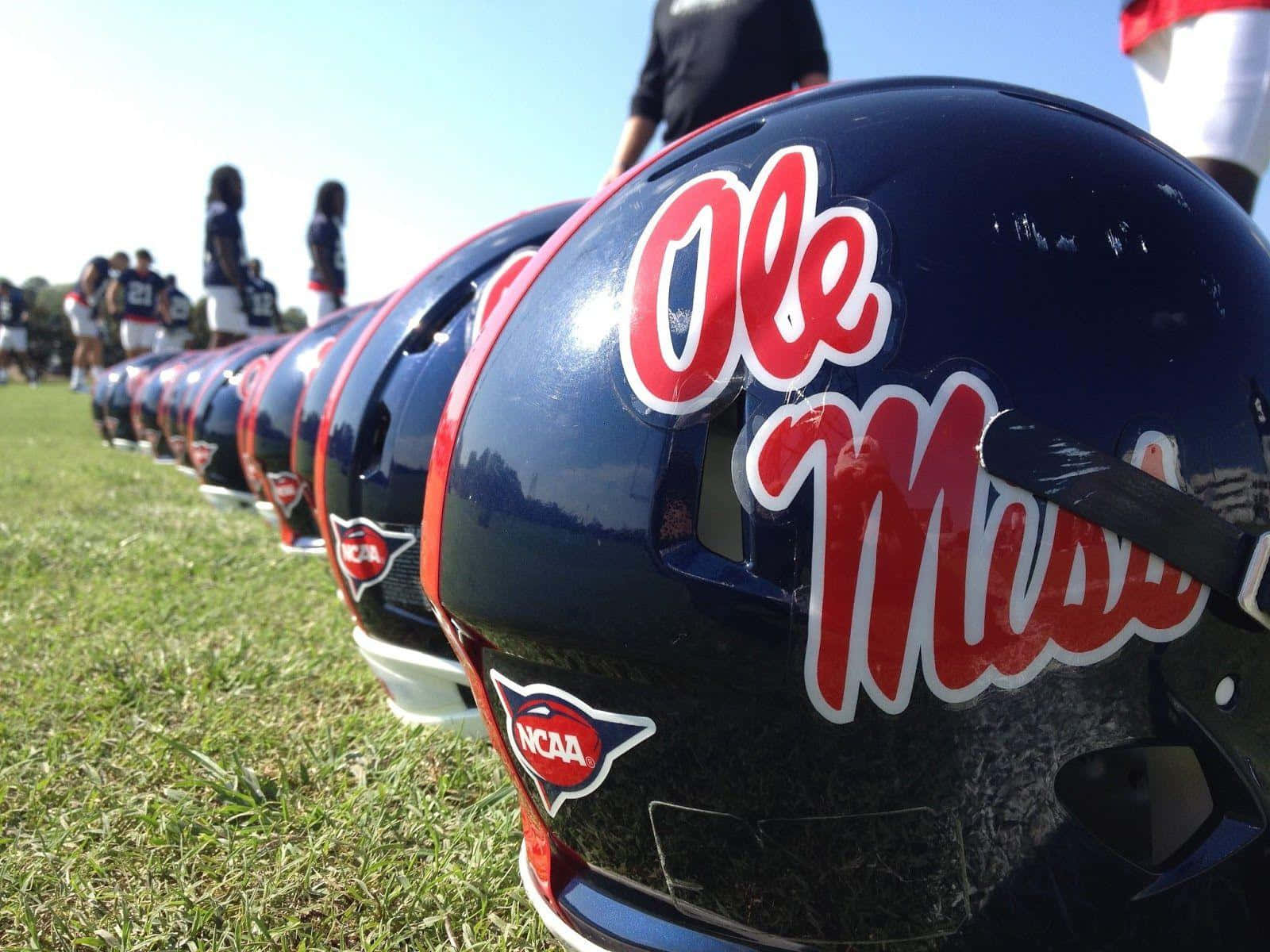 草地上的一排 Ole Miss 美式足球頭盔