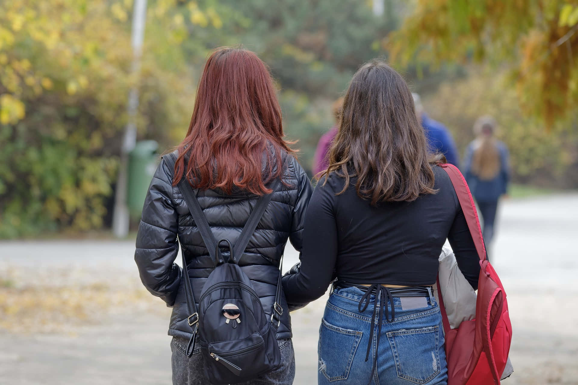 兩位女士手挽手走過一個有秋葉的公園。