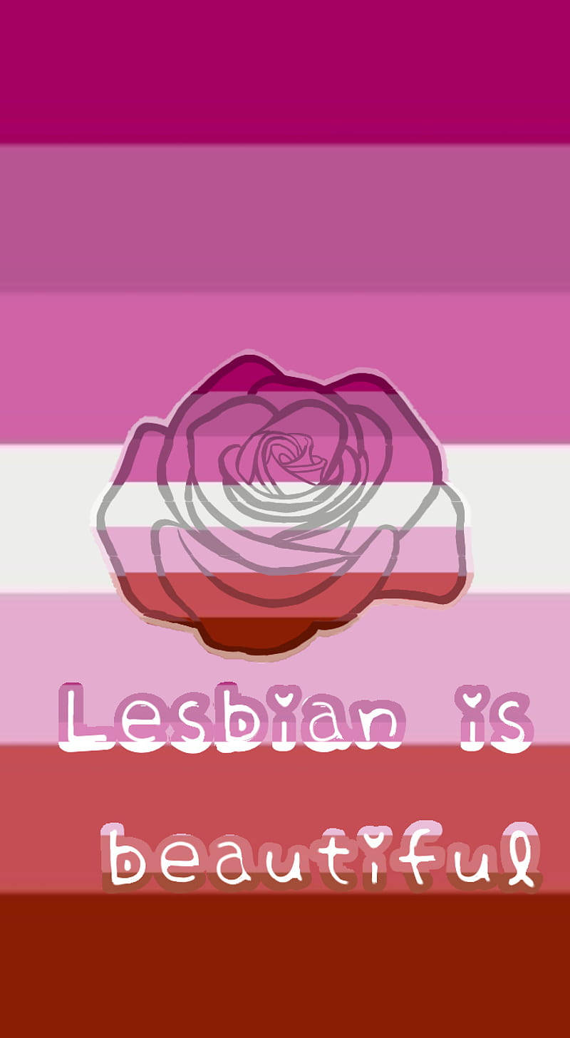 粉紅、白和紅條紋背景上的玫瑰圖案，附有文字 'Lesbian is beautiful'。