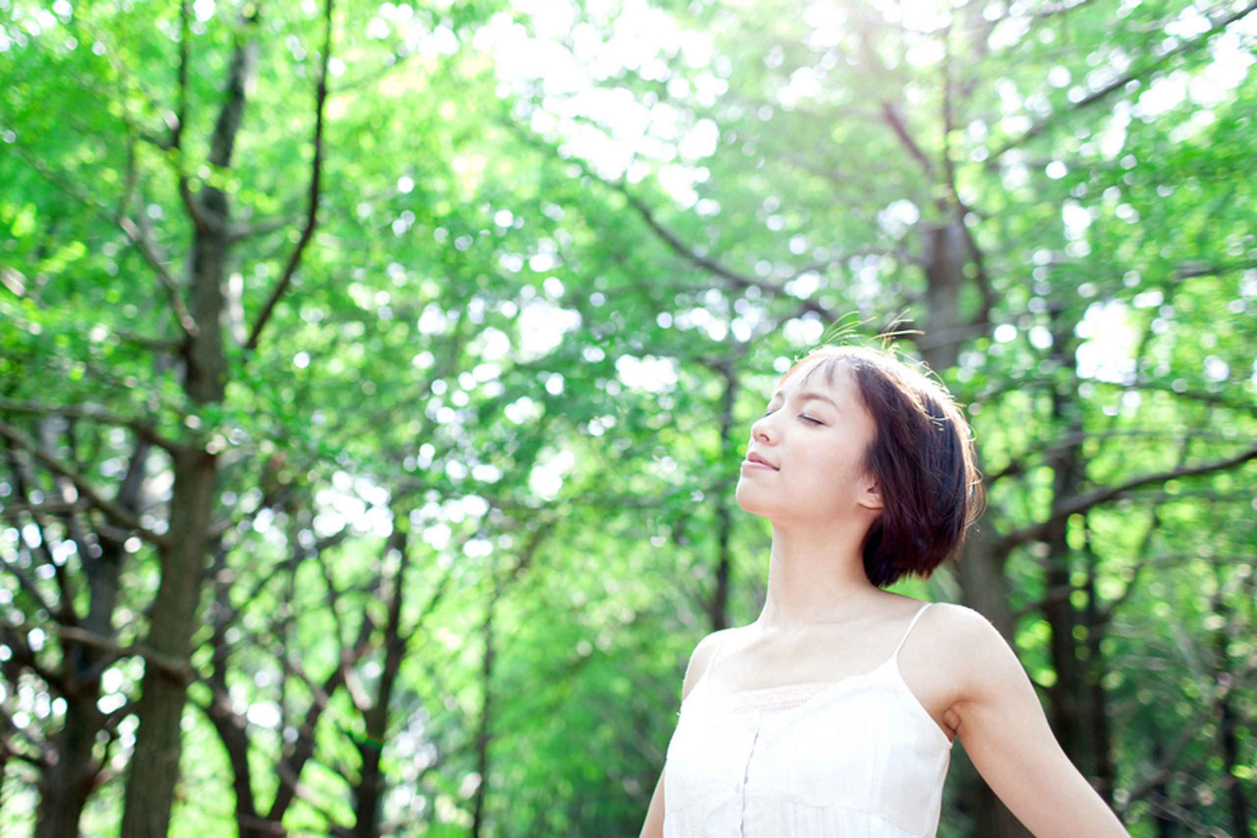 女子於森林中自由呼吸 壁紙 — 一位身穿白色連衣裙的寧靜女性閉上眼睛，呼吸著透過茂密綠樹過濾的陽光。