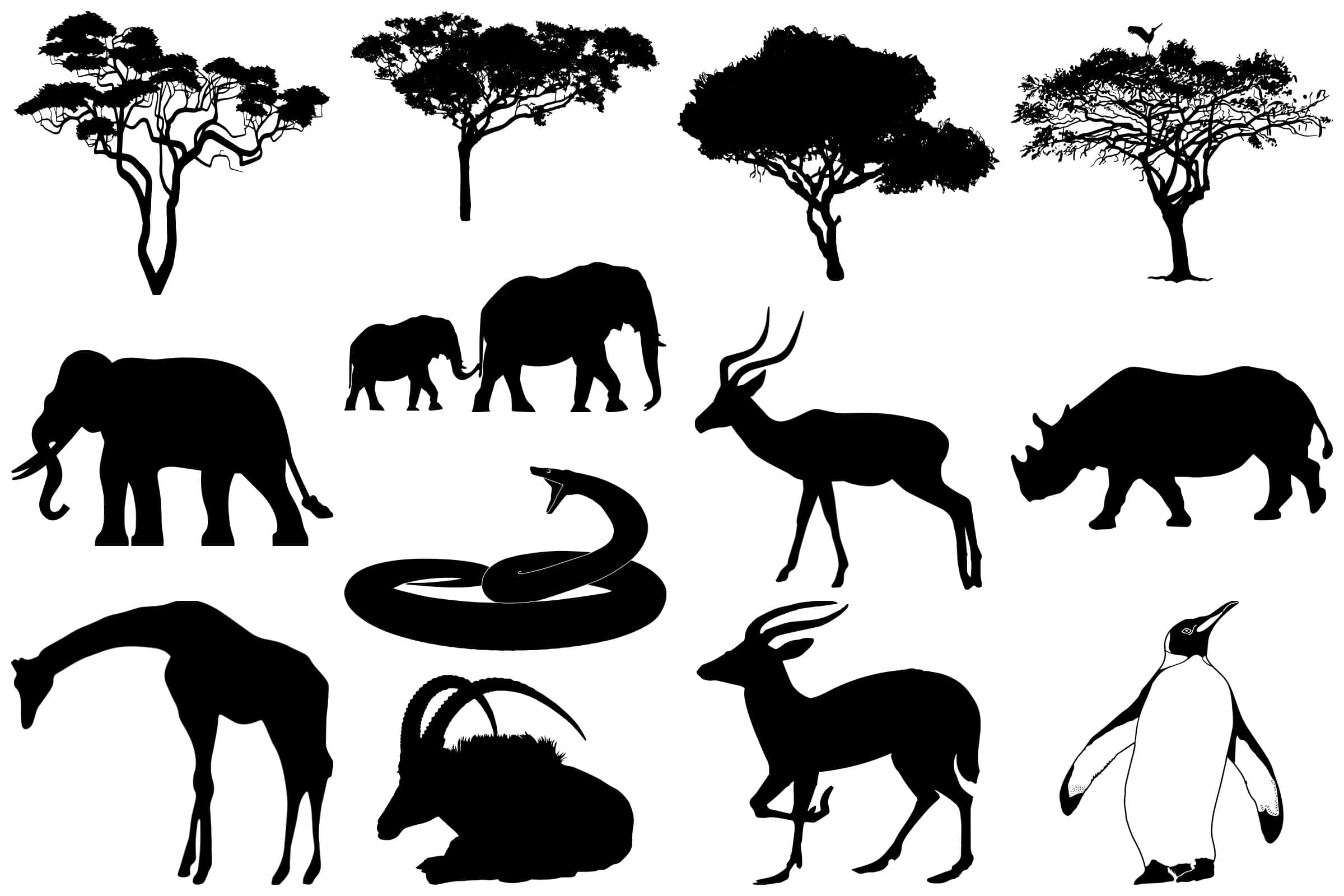 女子獨自站在夕陽下的剪影 壁紙 — 白色背景上孤立嘅非洲野生動物同樹木嘅黑色剪影。